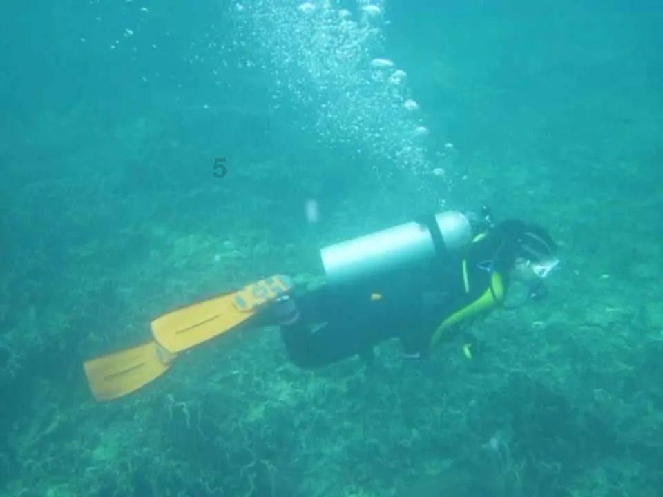 宝藏姐辛芷蕾治好了我的内耗，内娱活人怎能少了她